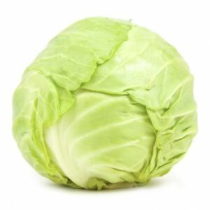 CABBAGE