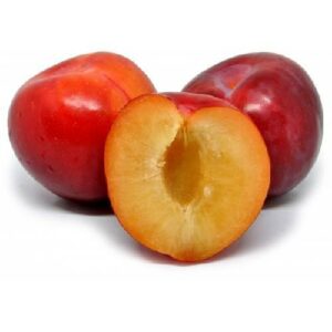SUSINE ROSSE