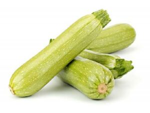 ZUCCHINA BIANCA