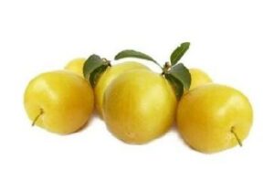 SUSINE GIALLE