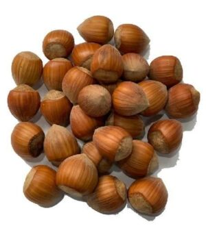 HAZELNUTS ROASTED IN SHELL