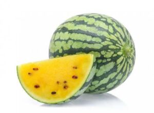 WATERMELON MINI YELLOW